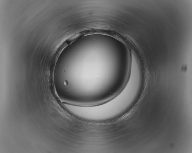 X0000113341065200909291024