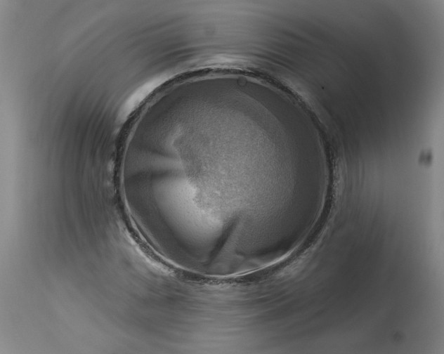 X0000113341066200909291024