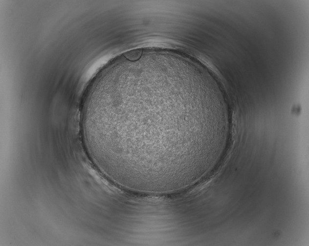 X0000113341067200909291024