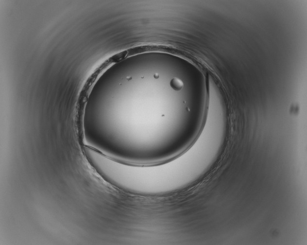 X0000113341068200909291024