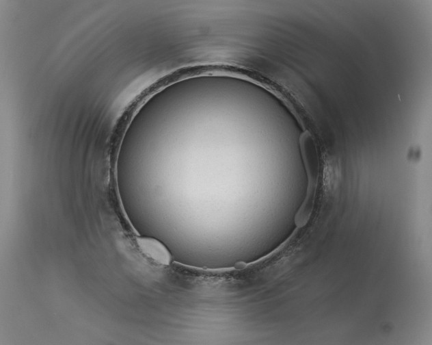 X0000113341069200909291024