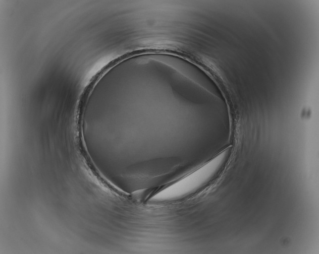 X0000113341071200909291024