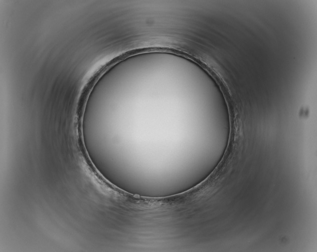 X0000113341072200909291024