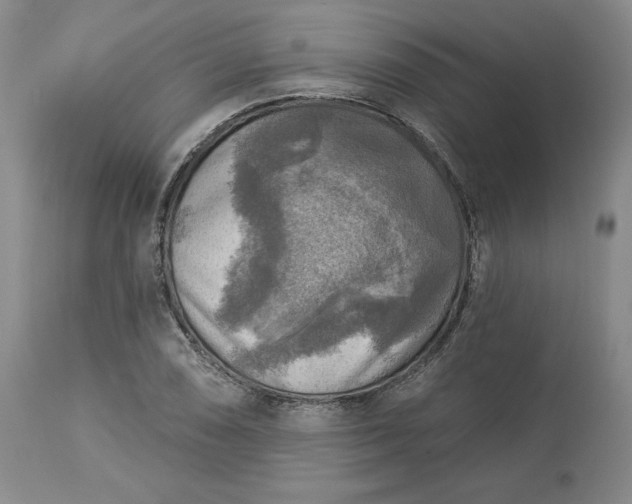 X0000113341074200909291024