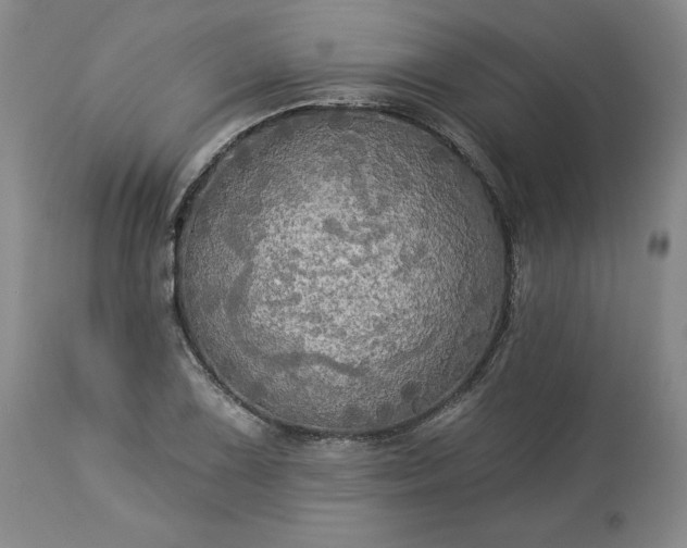 X0000113341075200909291024