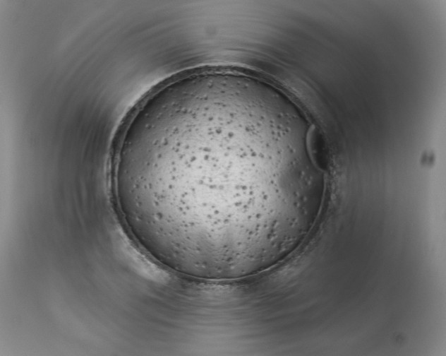 X0000113341076200909291024