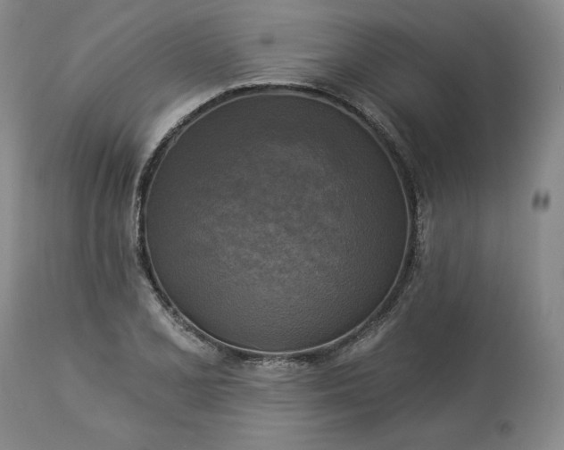 X0000113341077200909291024