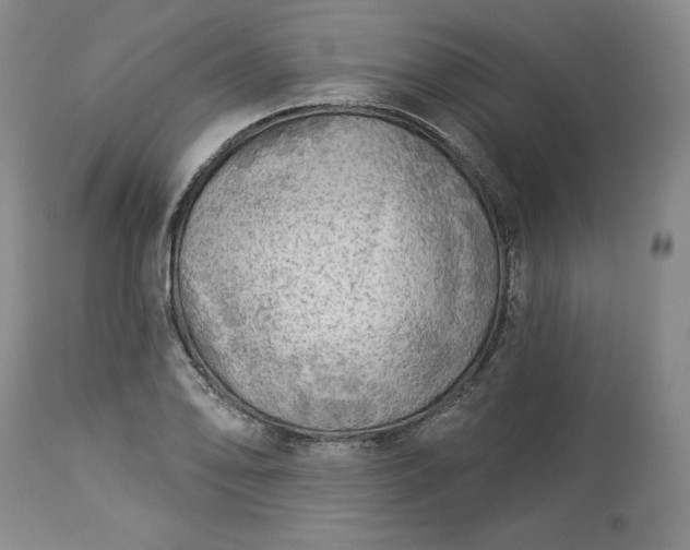 X0000113341078200909291024