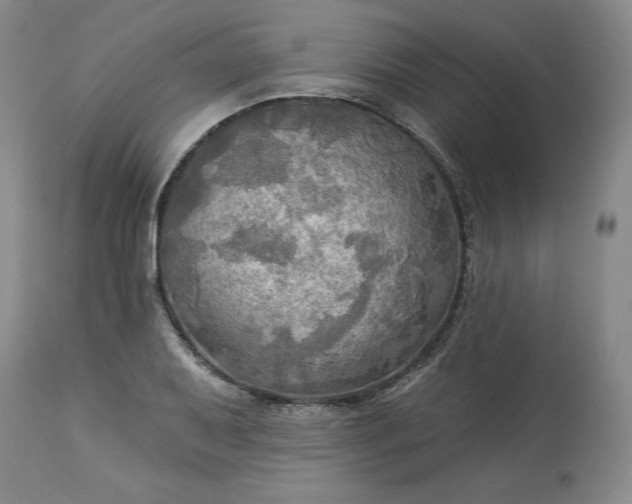 X0000113341079200909291024