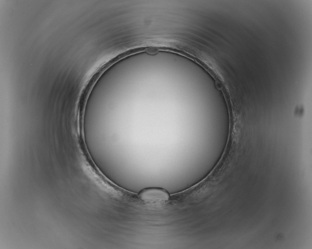 X0000113341080200909291024