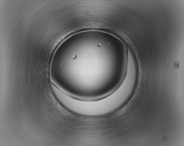 X0000113341081200909291024