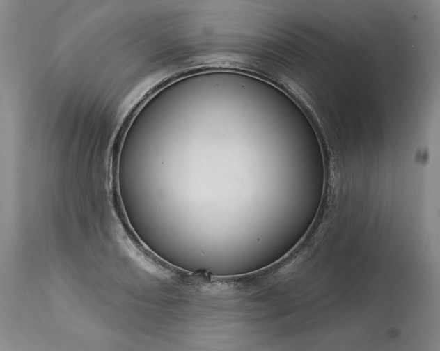 X0000113341082200909291024