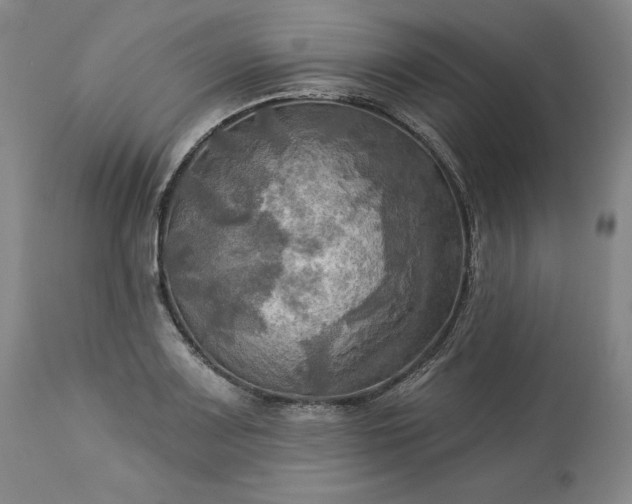 X0000113341083200909291024