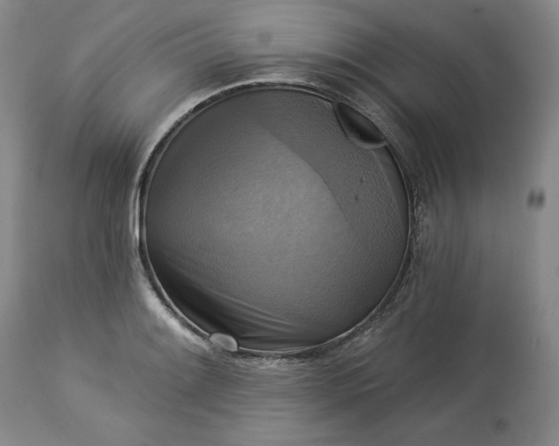 X0000113341084200909291024