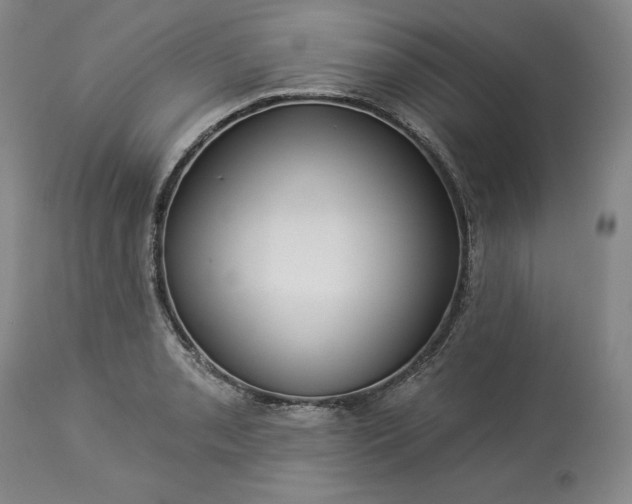 X0000113341085200909291024