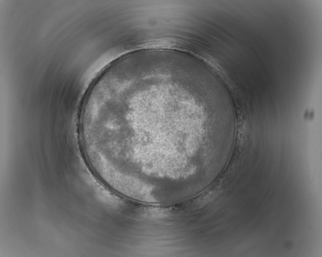 X0000113341086200909291024