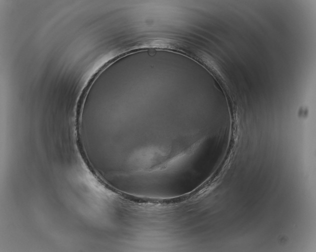 X0000113341087200909291024