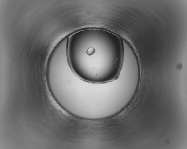 X0000113341088200909291024