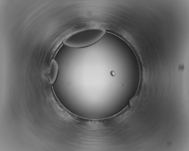 X0000113341089200909291024