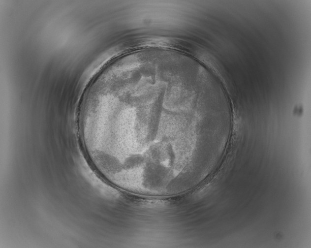 X0000113341090200909291024