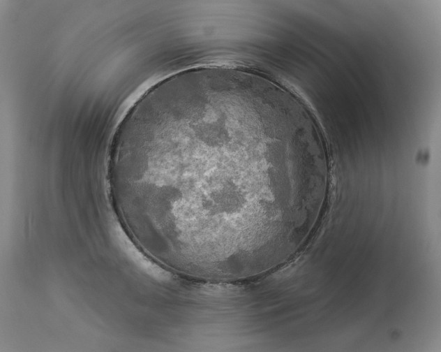 X0000113341091200909291024