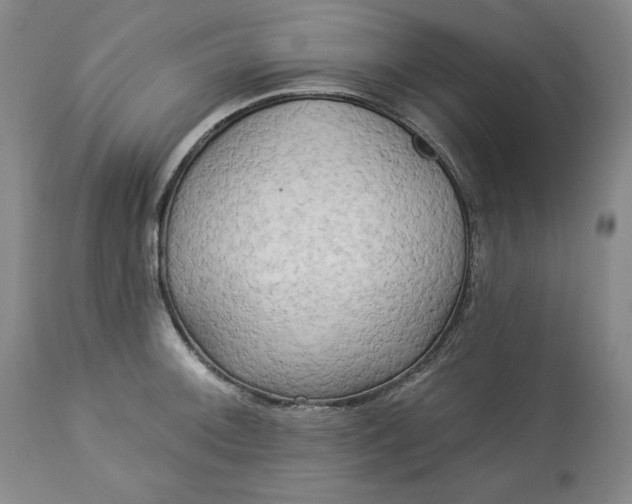 X0000113341092200909291024