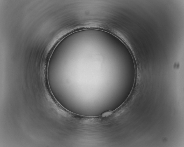 X0000113341093200909291024