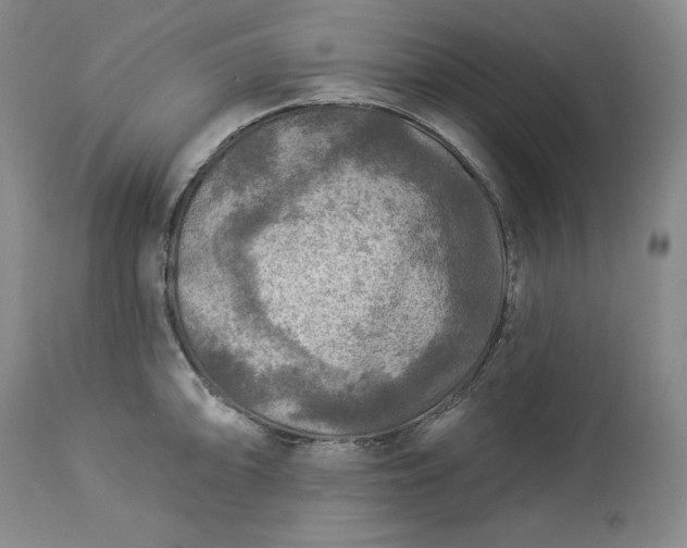 X0000113341094200909291024