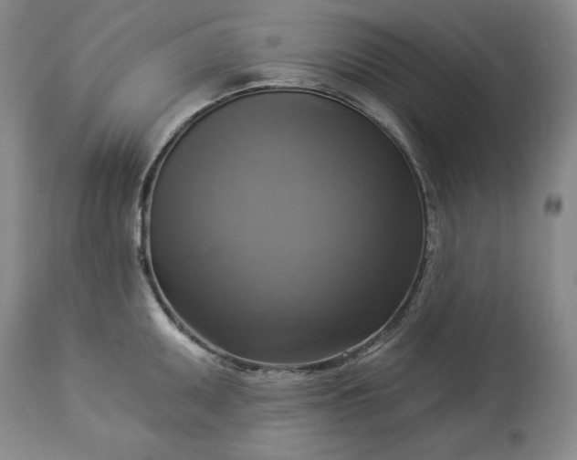 X0000113341095200909291024