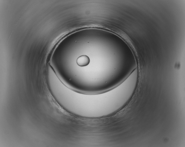 X0000113341096200909291024