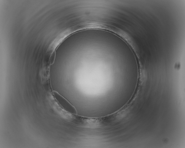 X0000113341097200909291024