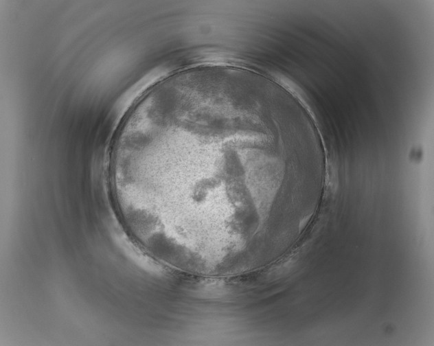 X0000113341098200909291024