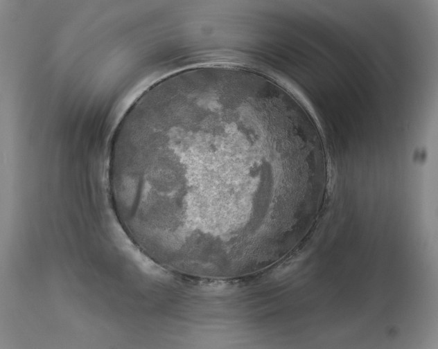 X0000113341099200909291024