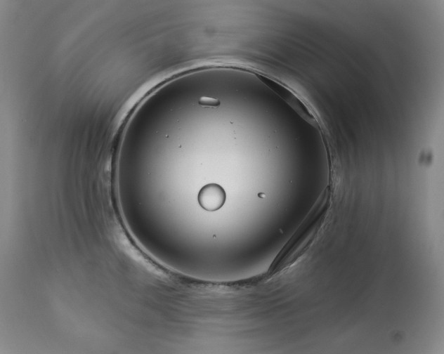 X0000113341100200909291024