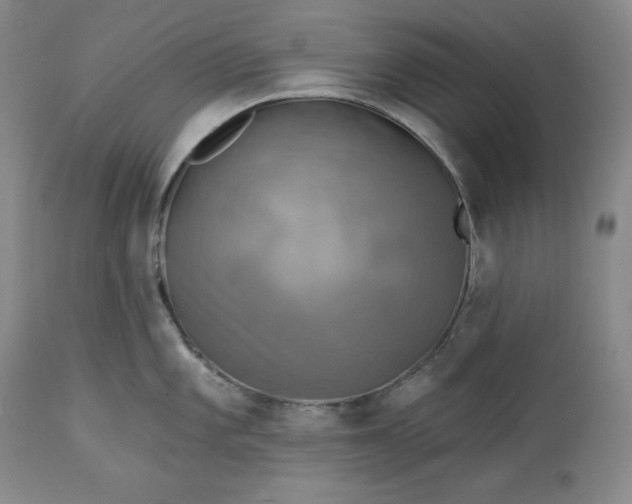 X0000113341101200909291024