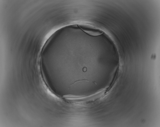 X0000113341102200909291024