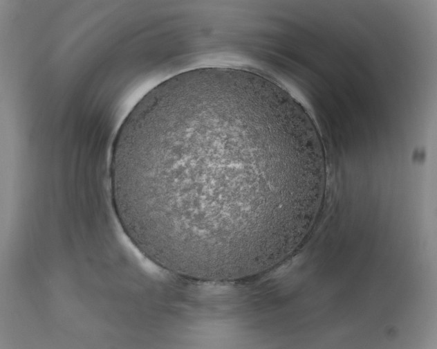 X0000113341103200909291024