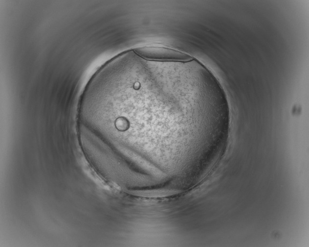 X0000113341104200909291024