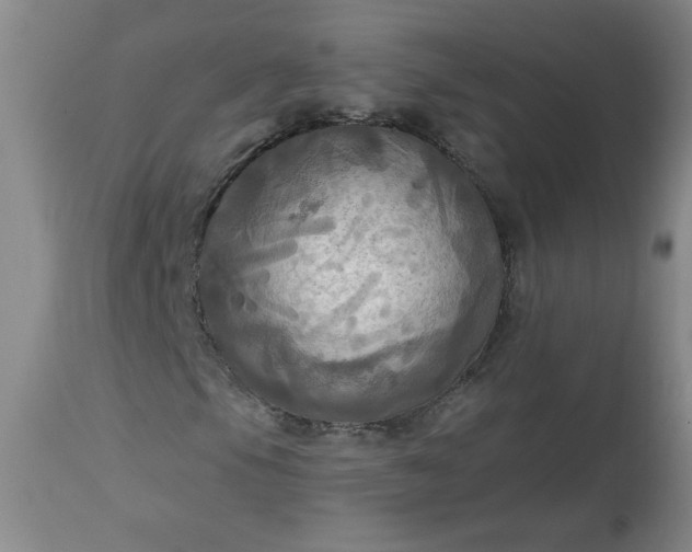 X0000113341105200909291023