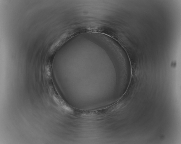 X0000113341106200909291023