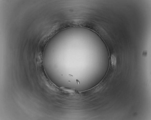 X0000113341107200909291023