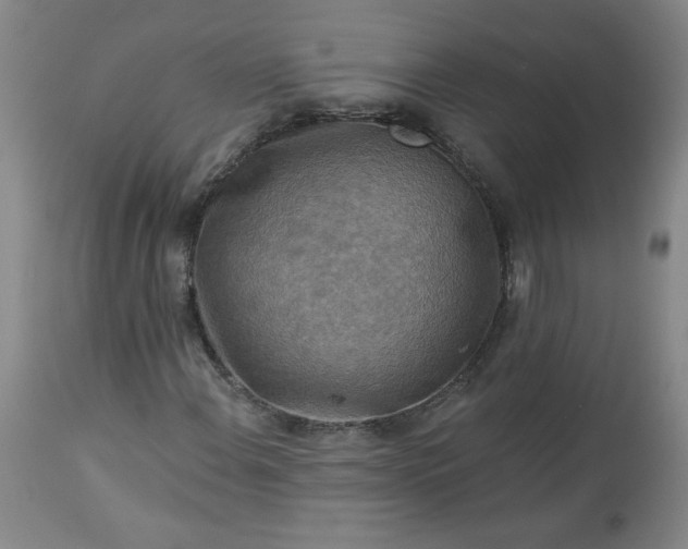 X0000113341108200909291023