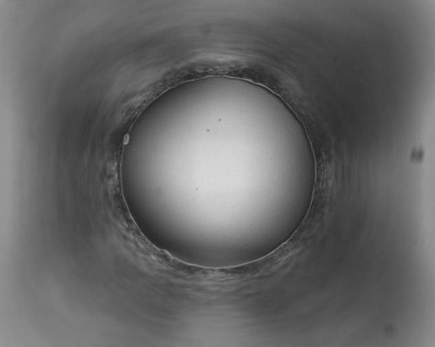 X0000113341109200909291023