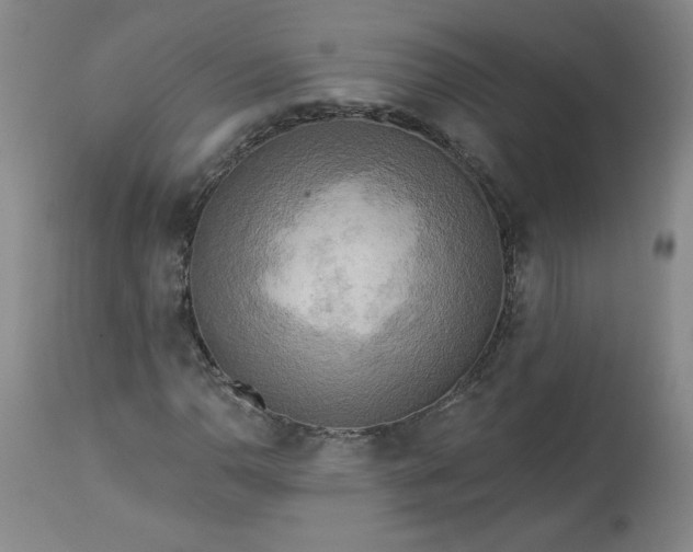 X0000113341110200909291023