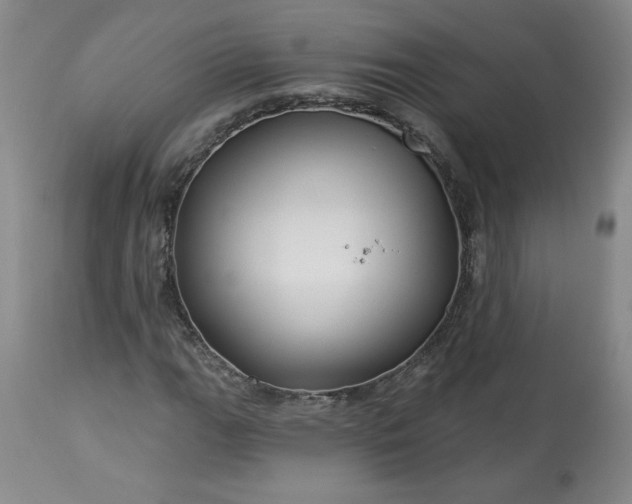 X0000113341111200909291023