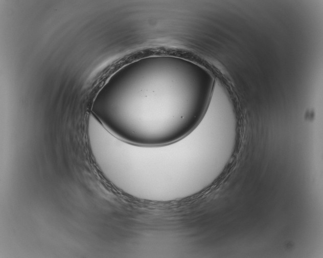 X0000113341112200909291023