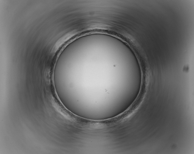 X0000113341113200909291023