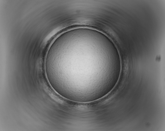 X0000113341114200909291023