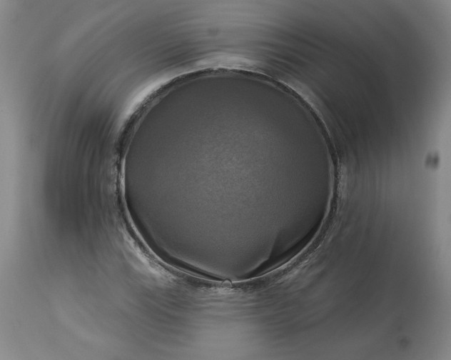 X0000113341115200909291023