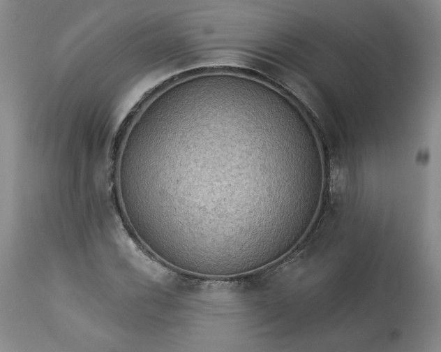 X0000113341116200909291023